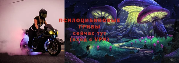гидра Тихвин