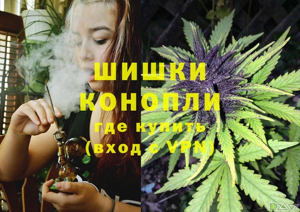 PSILOCYBIN Инсар