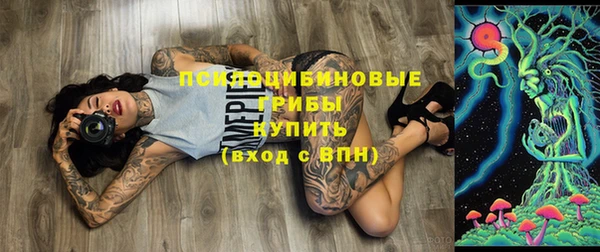 бутират Иннополис