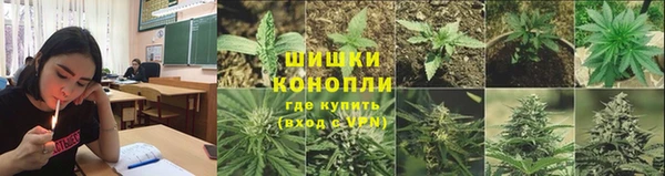 мескалин Инта