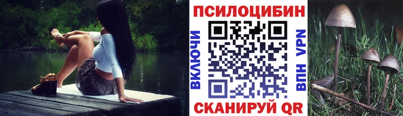 Купить  Николаевск  Псилоцибиновые грибы Psilocybe 